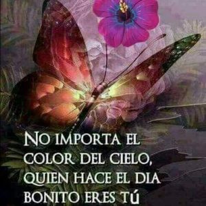 Meet your Posher, Naomi